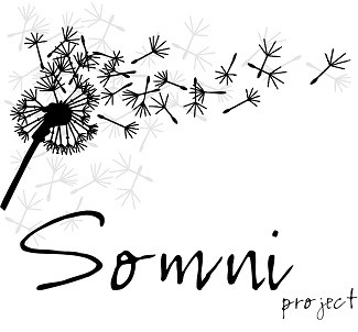 Somni Project